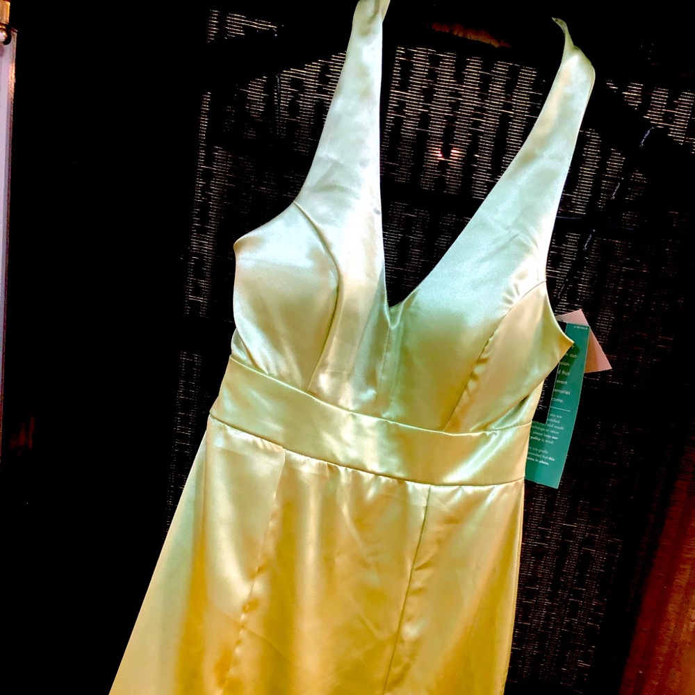 Brand New, never worn, light green dress